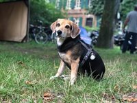 Lüner Motorradtreffen 2013