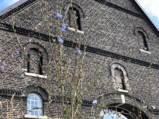 Ökologiestation Motorradtreffen 2019