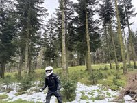 Schnee bei Winterberg